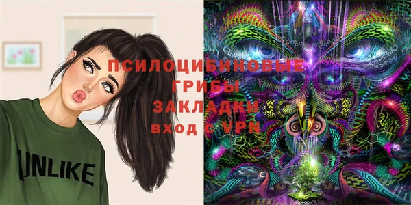 сатива Армянск